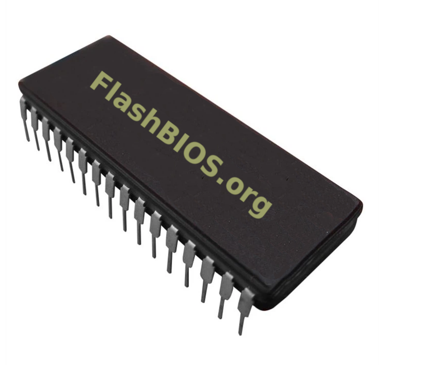 Nieuwe geprogrammeerde DIL-chip